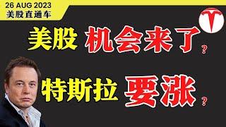 美股机会来了？特斯拉要涨？【美股直通车】2023.08.26 #sam谈股 #美股分析 #tsla #nvda  #特斯拉 #庄家 #特斯拉分析#鲍威尔 #英伟达 #特斯拉股票