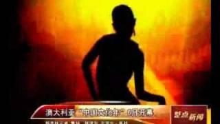 柯公参接受新华社采访视频