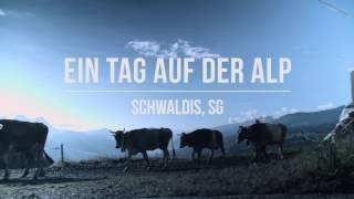 Ein Tag auf der Alp Schwaldis