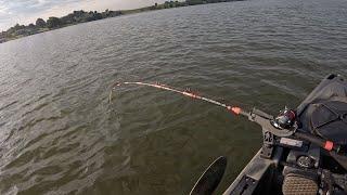 GIANT Catfish BATTLES Kayak Fisherman