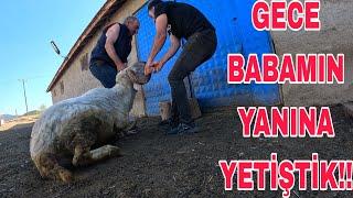 GECE BABAMIN YANINA YETİŞTİK !! HELİKOPTER ZAMANI~TRAKTÖR BAKIMI~PATATES BÖCEĞİ