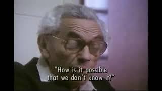 Paul Erdős commented on Ramsey numbers R(3,3), R(4,4), R(5,5) and R(6,6)