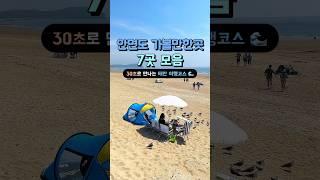 태안 안면도 가볼만한곳 가볼만한곳 BEST 7 