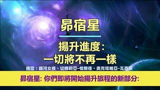 通靈信息【昴宿星】揚升進度：一切將不再一樣；「昴宿星人說：我們今天帶著鼓勵和快樂的信息來到你們身邊，因為你們即將開始揚升旅程的新部分。」