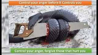 Control your Anger Before it Controls you | RJ Mohammad Anees