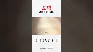 이거 한 판에 만 원 넘음 