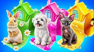 Мы построили секретные домики  для животных!
