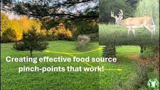 HS360LLC 2024 Food plot pinch set ups for stratigic hunts.