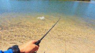 Lure fishing for flathead in Forster Tuncurry