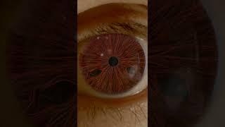 Ultra Realistic Mangekyou Sharingan in REAL LIFE: Uchiha Shisui - Naruto VFX