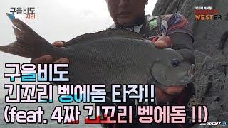 북서풍TV] 물뿜어대는 4짜긴꼬리 벵에돔/전통찌낚시/갯바위낚시