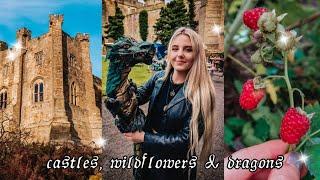 Days in the English Countryside  Castle Craft Fair, Garden Update & Nature