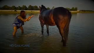 Horse Care . Basic-Horse-traini girl on a horse