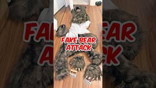 4 People in a Bear Suit Try to Defraud $141K from Their Auto Insurance