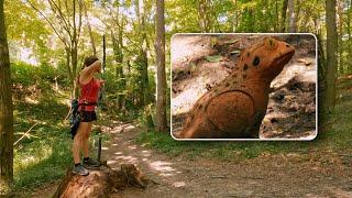 3D Archery near Vienna in the Vienna Woods / ARCHERY LOVE /