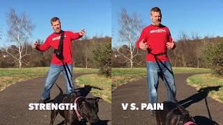 hands free dog walking safety demo video