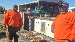 Rabbit Hunting with Big Time Farmers in "Joiner Arkansas"