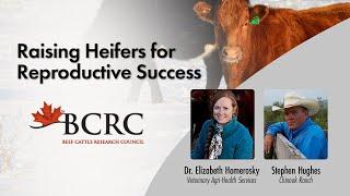 Raising Heifers for Reproductive Success