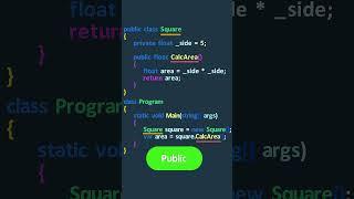 Access Modifiers in C#: Public #shorts