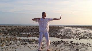 Ba Duan Jin Qigong (8 Sections of Brocade Beginner Form) Demo - Daniel Lee - Being Balance