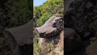 Wild Bore Head Rock, Hong Kong. #shorts #nature #naturelovers #beautifulhk #rockformation #hiking