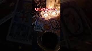 신의가호를 빕니다  #타로천사엘라 #감사 #행복