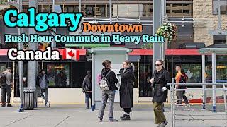 Calgary Downtown's Rush Hour Commute in Heavy Rain on June 2024 #canada #calgary #Alberta