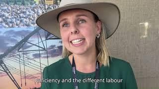 Dirranbandi hosts its biggest cotton field day