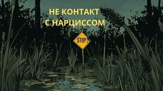 НЕ КОНТАКТ С НАРЦИССОМ. КАК ЭТО РАБОТАЕТ И РАБОТАЕТ ЛИ?