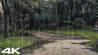 Stop Overthinking with Heavy Rain at Rainy Day - Relaxing Sounds of Rain ASMR