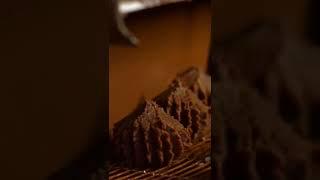 Консалтинг открыть пекарню. Глазирование трюфелей.  Денис Машков. #shorts.