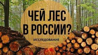 ЗАЧЕМ НУЖНА ЛЕСНАЯ ГОСКОРПОРАЦИЯ