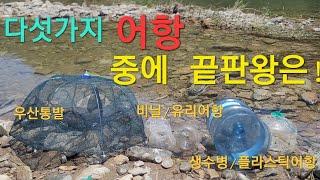 [계곡어항] 비닐어항/유리어항/생수병어항/플라스틱어항/우산통발 과연 다섯개 "어항"중에 승자는!!!