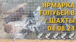 Ярмарка голубей в г.Шахты Ростовской области. Птичий рынок 04.08.24. Bird Market. Pigeon Fair. 鸽子.