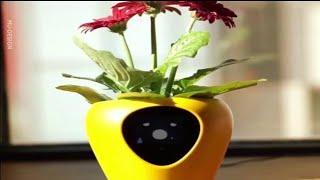 Lua The Smart Plant Pot