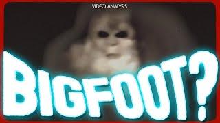 Pennsylvania White Bigfoot Video DECODED