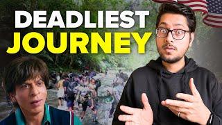 World's deadliest route - donkey process