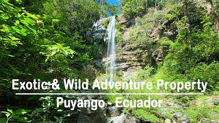 Exotic & Wild Adventure Property | Puyango, Ecuador Real Estate