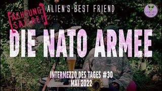 DIE NATO ARMEE - Intermezzo des Tages #30 - Alien's Best Friend - 7 Nation Army - Cover