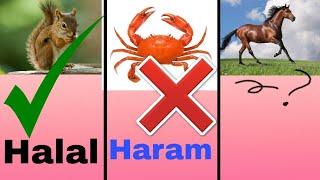 HALAL, HARAM AND MAKRUH ANIMALS IN ISLAM || HALAL FOOD, HARAM FOOD & MAKRUH FOOD IN ISLAM || ISLAMIC