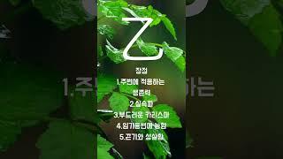 기초사주 풀이 을목편 #사주 #보험 #상담 #타로 #문의