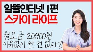 알뜰인터넷 KT 스카이라이프 20,900원에 tv 와이파이 셋톱박스까지?