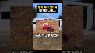 농막 사러 왔는데 집 지은 사연 #용사마 #컨테이너하우스