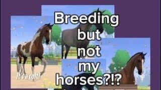 Breeding! but not my horses?!? *equestrian the game*