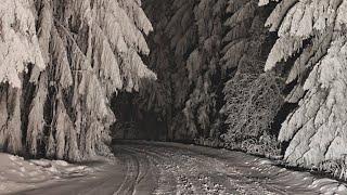 Virtual Drive Through Snow in Mountains at Night (Nature Sounds for Sleep, Winter Storm ASMR)