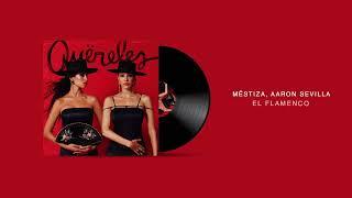 @mestiza_music , @AaronSevilla - El Flamenco / Afro House