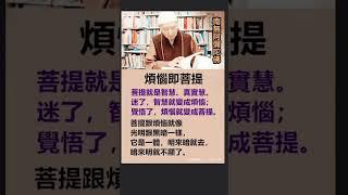 煩惱即菩提丨淨空法師