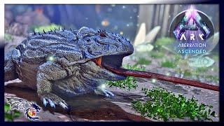 Taming An Aberrant Beelzebufo For Cement Paste Production | ARK: Aberration Ascended #6