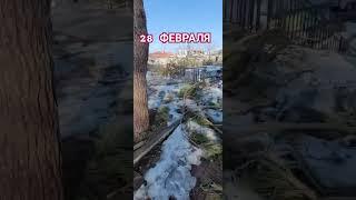 АДЖАРИЯ, КОБУЛЕТИ 28 февраля: солнце, море и следы непогоды!