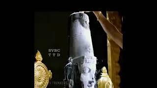 Tirumala tirupathi Venkateswara Swamy Abhishekam shorts  (subscribe)